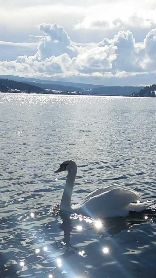 L'Ecrin Du Lac Saint-Point-Lac Eksteriør billede